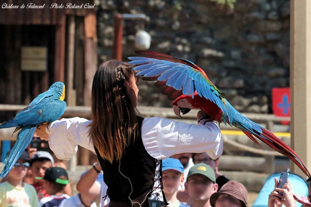 Animations au chateau de talmont en vendée proche des sables d'olonne