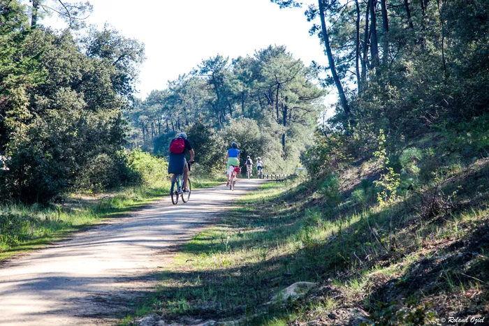 Personne faisant du vélos sur un sentier entouré d'arbre à La Tranche-sur-Mer